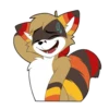 Raccoon Acelar 6