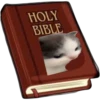 hehe cat 9