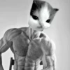 hehe cat 10