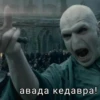 Harry Potter 11