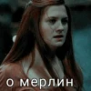 Harry Potter 12