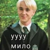 Harry Potter 13