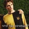 Harry Potter 14