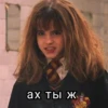 Harry Potter 15