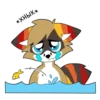 Raccoon Acelar 7
