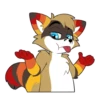 Raccoon Acelar 8