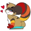 Raccoon Acelar 9