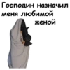 Господин назначил меня любимой женой