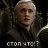 Harry Potter 17
