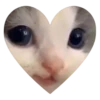 hehe cat 13