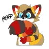 Raccoon Acelar 11