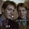 Harry Potter 20