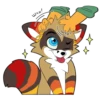 Raccoon Acelar 12