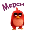 Angry birds :: @animesticks 19