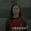 Harry Potter 21
