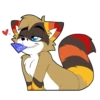 Raccoon Acelar 14
