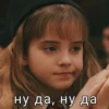 Harry Potter 23