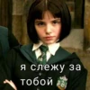 Harry Potter 24