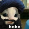 hehe cat 20