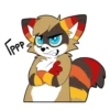 Raccoon Acelar 16