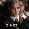 Harry Potter 27