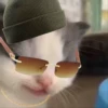 hehe cat 21