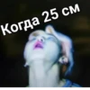 BTS 7