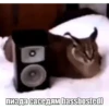 Bebra mix banano 5