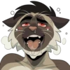 Baraking Stank Nub 7