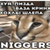 Bebra mix banano 7