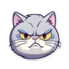 Kittys_AlexRo 19