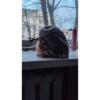 Bebra mix banano 9