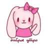 Baby Banny Dom Kitty 17