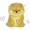 ร
C