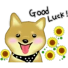 Good
Luck!