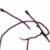 Flork the cow(@tmejoinchatTelegramStickers) (@CalsiBot) 14