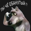 Стики 7281 из @Anonymnyi_chat_bot 12