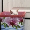 Red Point Siamese 17