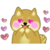 dog shiba eng 13