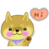 Hi