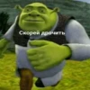 Стики 7281 из @Anonymnyi_chat_bot 22