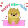 HAPPY NEWY