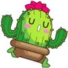 Cactus tierno ☄️🌵 14