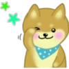 dog shiba eng 20