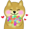 dog shiba eng 21