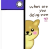 what are
you
doing now
??