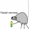 Стики 7281 из @Anonymnyi_chat_bot 28