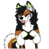 Kaii Husky 5