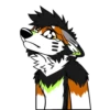 Kaii Husky 8