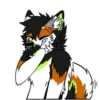 Kaii Husky 11